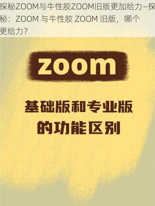 探秘ZOOM与牛性胶ZOOM旧版更加给力—探秘：ZOOM 与牛性胶 ZOOM 旧版，哪个更给力？