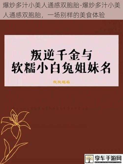 爆炒多汁小美人通感双胞胎-爆炒多汁小美人通感双胞胎，一场别样的美食体验