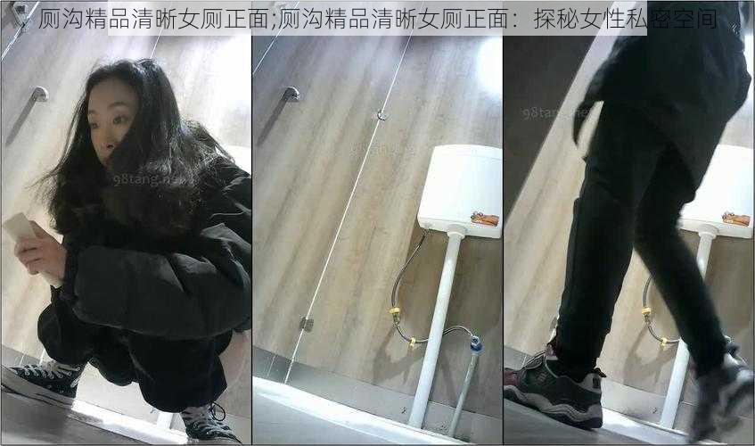 厕沟精品清晰女厕正面;厕沟精品清晰女厕正面：探秘女性私密空间