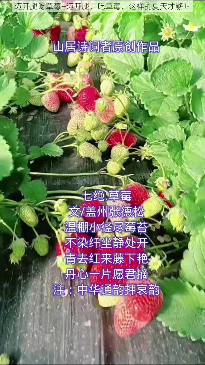 迈开腿吃草莓—迈开腿，吃草莓，这样的夏天才够味