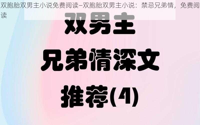 双胞胎双男主小说免费阅读—双胞胎双男主小说：禁忌兄弟情，免费阅读