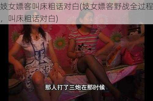 妓女嫖客叫床粗话对白(妓女嫖客野战全过程，叫床粗话对白)