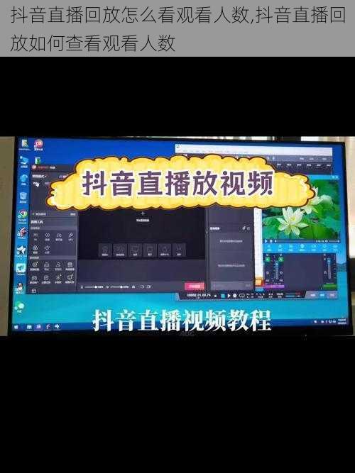 抖音直播回放怎么看观看人数,抖音直播回放如何查看观看人数