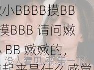 嫩小BBBB摸BBB摸BBB 请问嫩小 BB 嫩嫩的，摸起来是什么感觉呢？