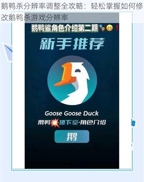 鹅鸭杀分辨率调整全攻略：轻松掌握如何修改鹅鸭杀游戏分辨率