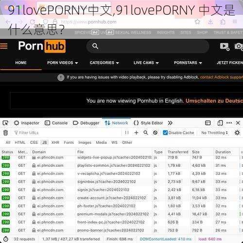 91lovePORNY中文,91lovePORNY 中文是什么意思？