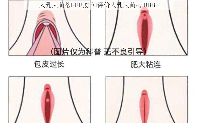 人乳大荫蒂BBB,如何评价人乳大荫蒂 BBB？