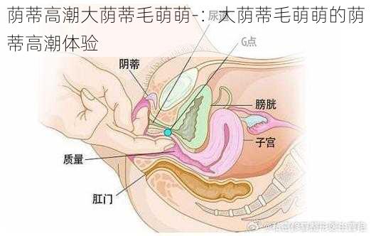 荫蒂高潮大荫蒂毛萌萌-：大荫蒂毛萌萌的荫蒂高潮体验