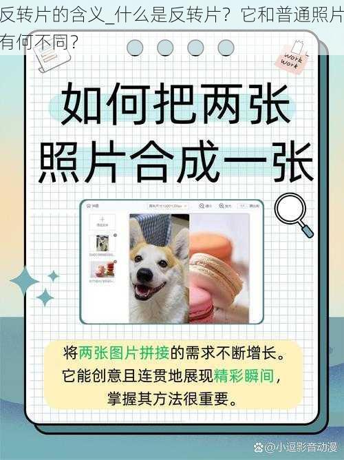 反转片的含义_什么是反转片？它和普通照片有何不同？