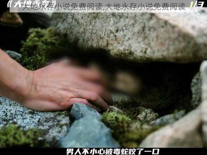 大地永存小说免费阅读,大地永存小说免费阅读