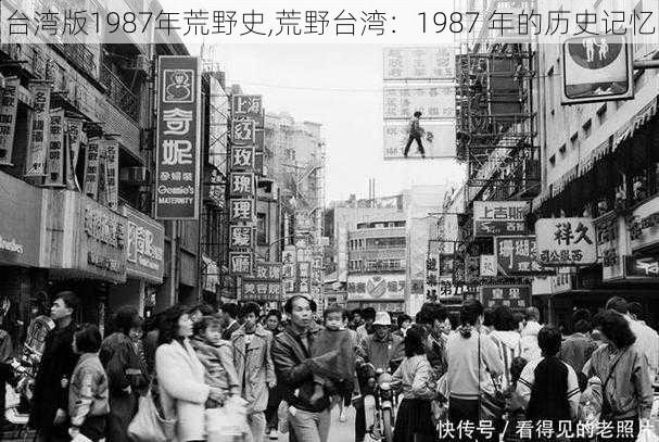 台湾版1987年荒野史,荒野台湾：1987 年的历史记忆