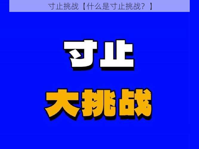 寸止挑战【什么是寸止挑战？】