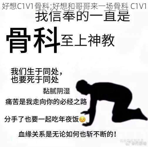 好想C1V1骨科;好想和哥哥来一场骨科 C1V1