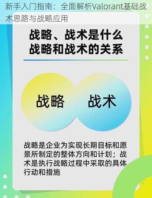 新手入门指南：全面解析Valorant基础战术思路与战略应用