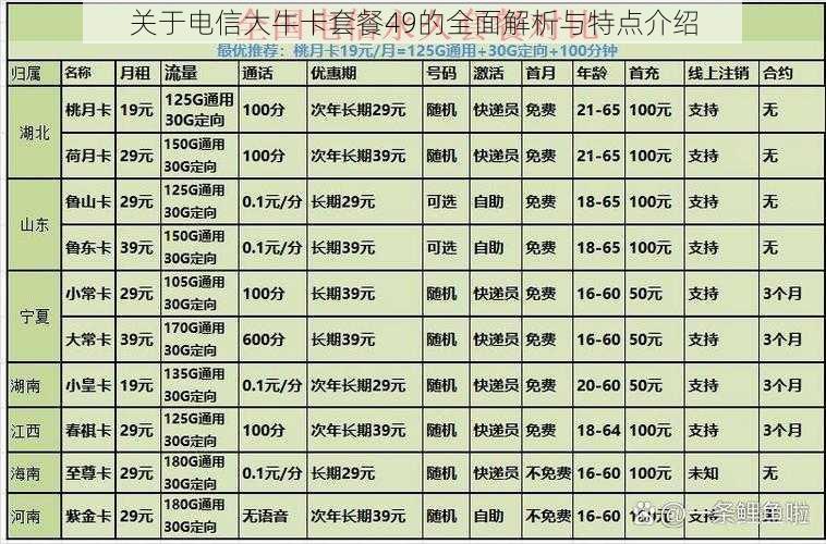 关于电信大牛卡套餐49的全面解析与特点介绍