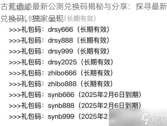 古荒遗迹最新公测兑换码揭秘与分享：探寻最新兑换码，独家呈现