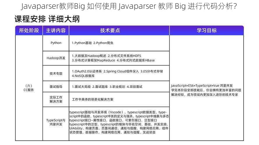 Javaparser教师Big 如何使用 Javaparser 教师 Big 进行代码分析？