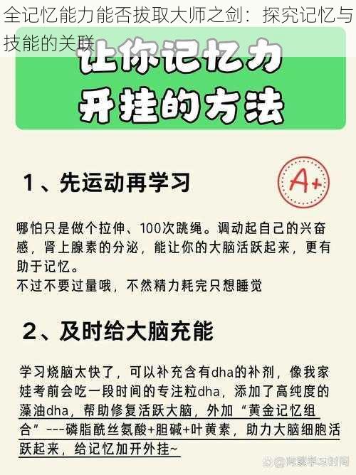 全记忆能力能否拔取大师之剑：探究记忆与技能的关联