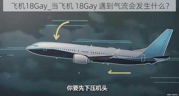 飞机18Gay_当飞机 18Gay 遇到气流会发生什么？