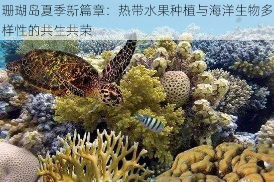 珊瑚岛夏季新篇章：热带水果种植与海洋生物多样性的共生共荣