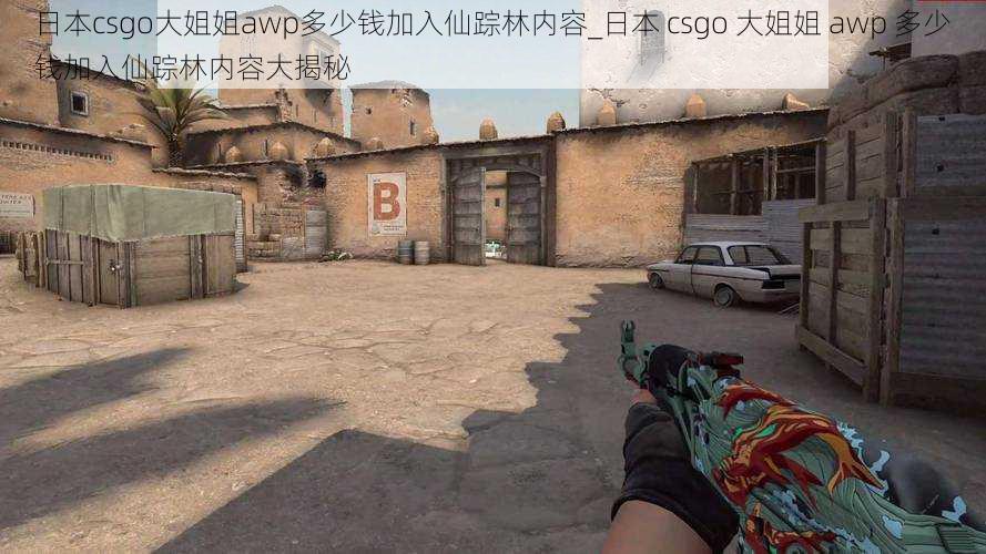 日本csgo大姐姐awp多少钱加入仙踪林内容_日本 csgo 大姐姐 awp 多少钱加入仙踪林内容大揭秘