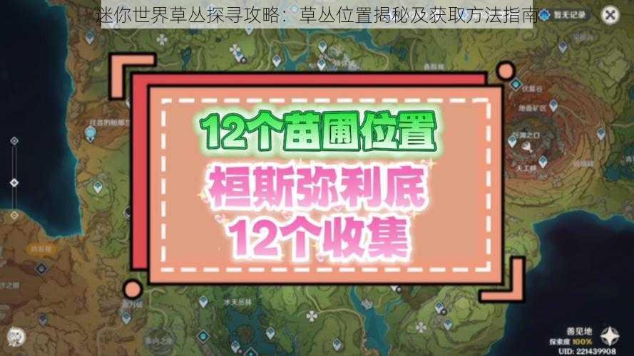 迷你世界草丛探寻攻略：草丛位置揭秘及获取方法指南