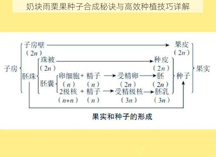 奶块雨栗果种子合成秘诀与高效种植技巧详解