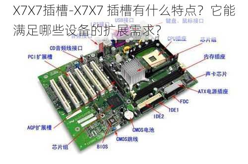 X7X7插槽-X7X7 插槽有什么特点？它能满足哪些设备的扩展需求？