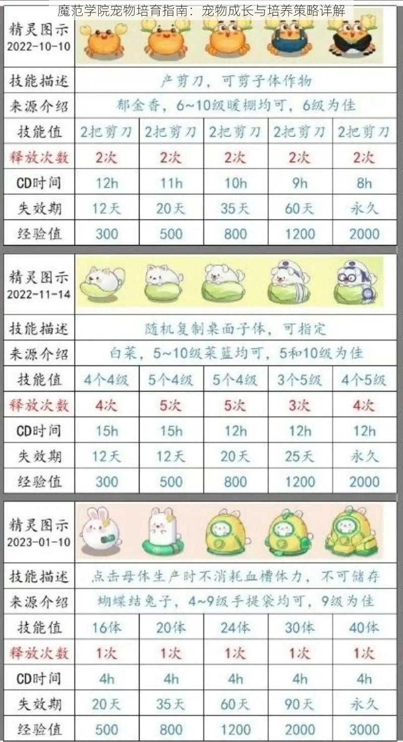 魔范学院宠物培育指南：宠物成长与培养策略详解