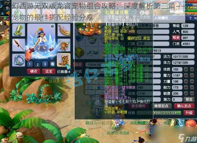 梦幻西游无双版龙宫宠物组合攻略：深度解析第二篇——龙宫宠物的最佳搭配经验分享