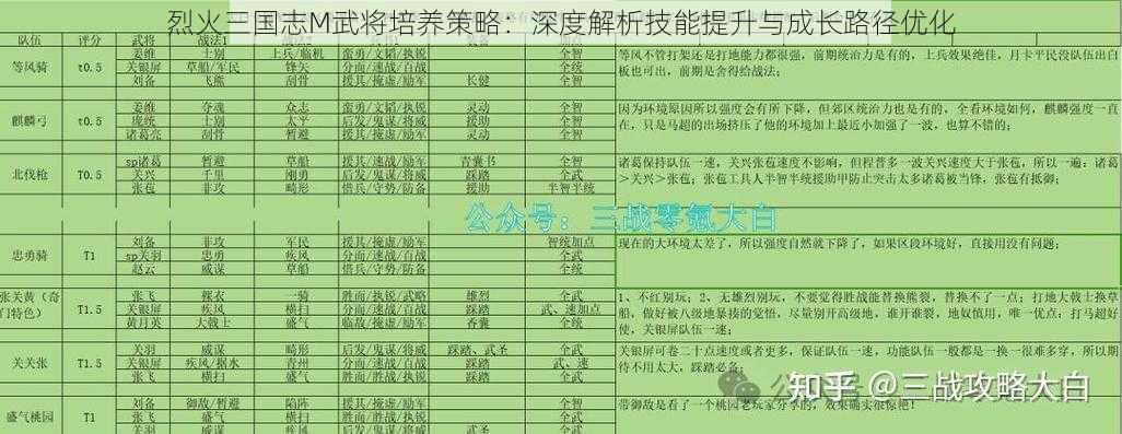 烈火三国志M武将培养策略：深度解析技能提升与成长路径优化