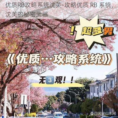 优质RB攻略系统沈芙-攻略优质 RB 系统，沈芙的秘密武器