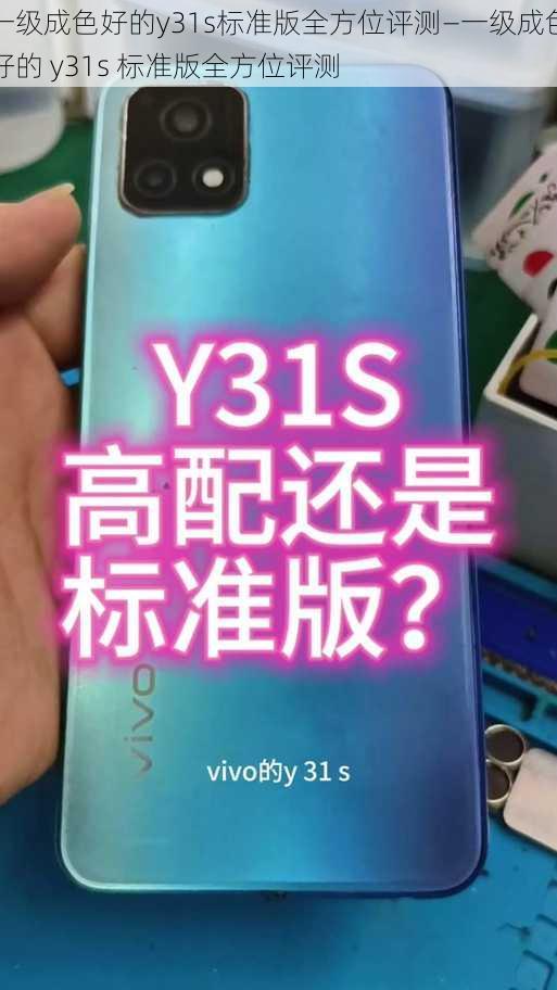 一级成色好的y31s标准版全方位评测—一级成色好的 y31s 标准版全方位评测