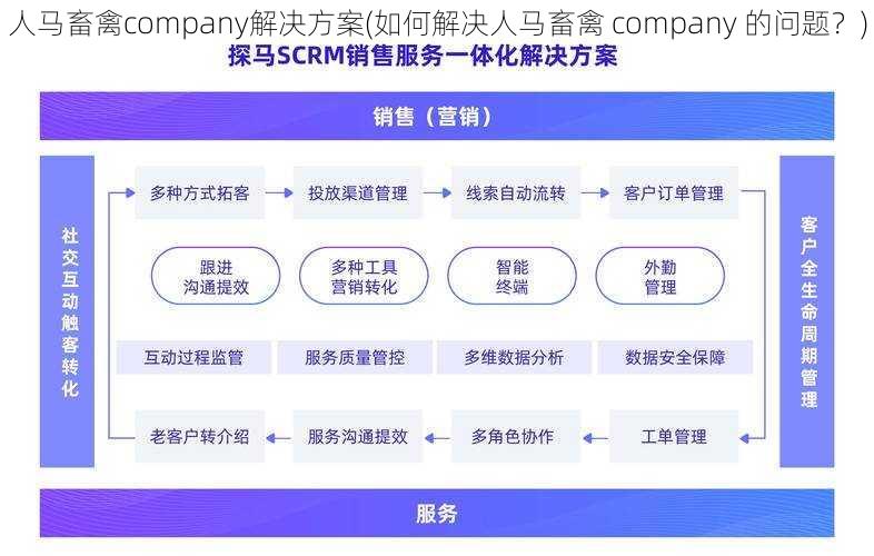 人马畜禽company解决方案(如何解决人马畜禽 company 的问题？)