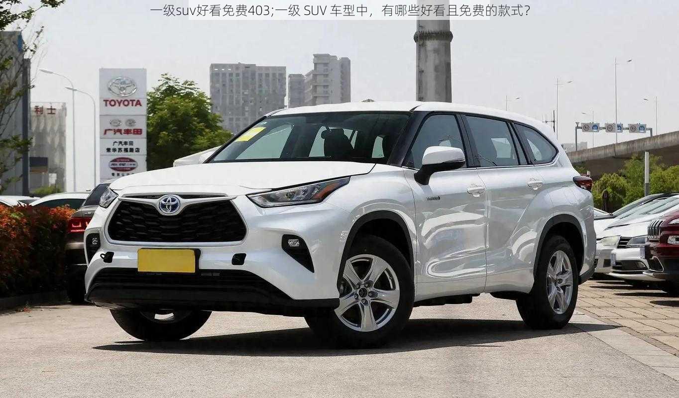 一级suv好看免费403;一级 SUV 车型中，有哪些好看且免费的款式？