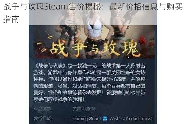 战争与玫瑰Steam售价揭秘：最新价格信息与购买指南